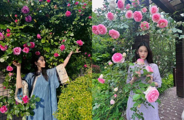 Trương Hinh Dư ăn khoai lang, chăm tập luyện để giữ dáng tuổi U40