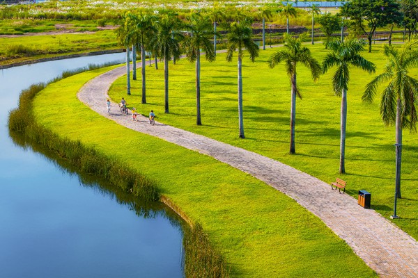 Solaria Rise - ‘chuẩn sống mới’ của Gen Z