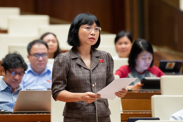 Đề nghị Cơ quan soạn thảo Luật Đất đai (sửa đổi) tiếp thu, giải trình nội dung về đất di sản văn hóa