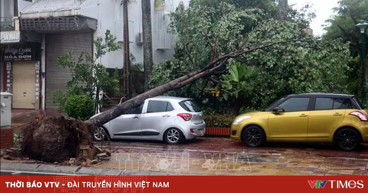 Bảo hiểm bồi thường do bão: Ứng tiền mặt trước, hoàn chứng từ sau