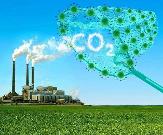 Biến đổi khí hậu tác động đến bữa cơm hàng ngày, Net Zero là nghĩa vụ và trách nhiệm