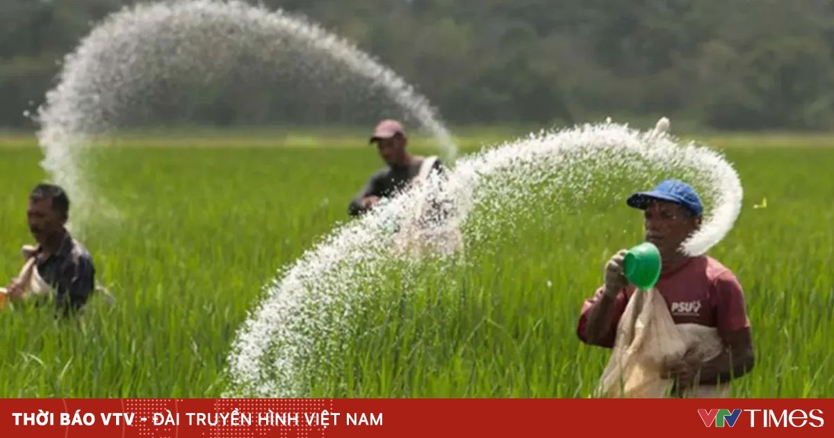 Chốt đánh thuế VAT 5% đối với phân bón