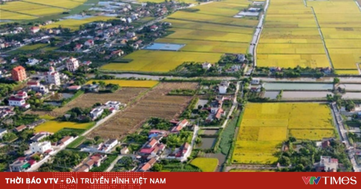 Kiến nghị tiếp tục miễn thuế sử dụng đất nông nghiệp