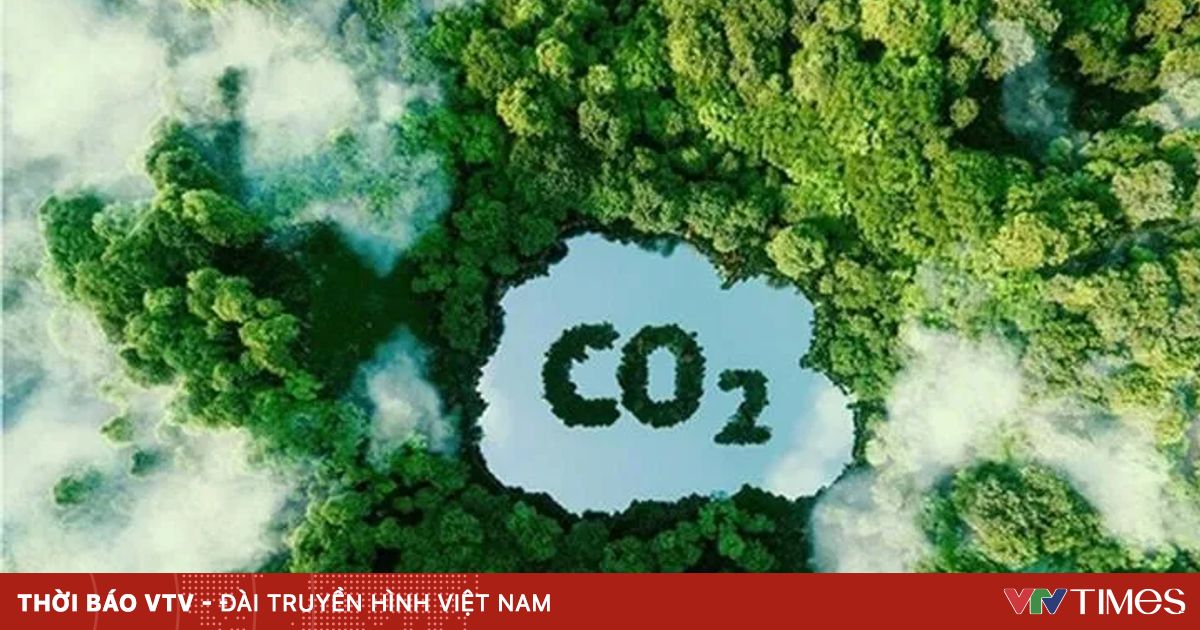 Quyết tâm thu hút tài chính khí hậu tại COP29