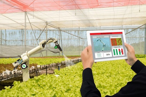 23/07: Diễn đàn Nông nghiệp 2024: Nông nghiệp thông minh đột phá từ công nghệ 5.0