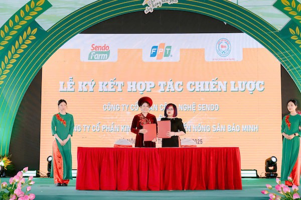 Bảo Minh: Điểm sáng trong mô hình chuỗi giá trị nông nghiệp bền vững Bảo Minh: Điểm sáng trong mô hình chuỗi giá trị nông nghiệp bền vững