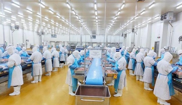 Các "ông lớn" ngành chăn nuôi lạc quan tăng trưởng