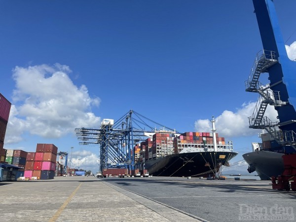 Cảng Container Quốc tế Tân cảng Hải Phòng đón TEU 1 triệu thông qua