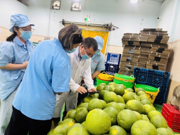 "Chìa khoá" cho doanh nghiệp xuất khẩu bưởi, chanh tăng tốc
