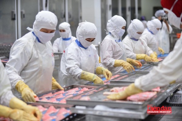 "Chìa khóa" giúp doanh nghiệp thuỷ sản duy trì đơn hàng