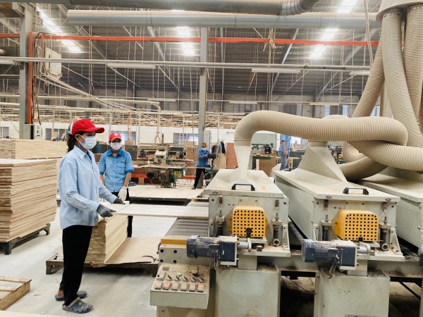 Cơ cấu lại nguồn lực lao động 2023 Cơ cấu lại nguồn lực lao động 2023