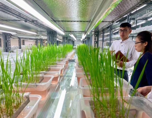 Công nghệ chỉnh sửa gen – động lực mới ngành nông nghiệp chờ thể chế