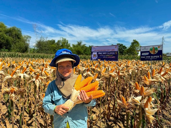 Công nghệ chỉnh sửa gen – động lực mới ngành nông nghiệp chờ thể chế