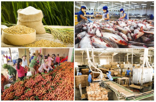 Doanh nghiệp Anh tìm kiếm cơ hội nhập khẩu sản phẩm Việt