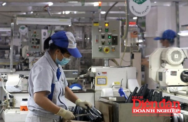 Doanh nghiệp Nhật Bản nghiên cứu cơ hội đầu tư tại Hải Phòng