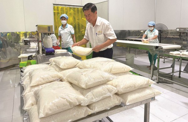 Doanh nghiệp Thái Bình tăng tốc sản xuất ngay sau Tết
