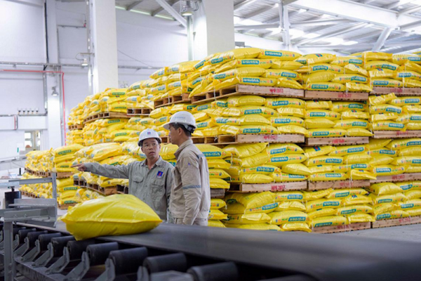 Doanh nghiệp phân bón kiến nghị gỡ áp lực chi phí trước xung đột Trung Đông Doanh nghiệp phân bón kiến nghị gỡ áp lực chi phí trước xung đột Trung Đông