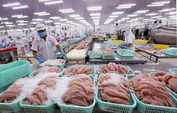 Doanh nghiệp "gặp khó" khi xuất khẩu thủy sản tươi sống sang Trung Quốc Doanh nghiệp "gặp khó" khi xuất khẩu thủy sản tươi sống sang Trung Quốc