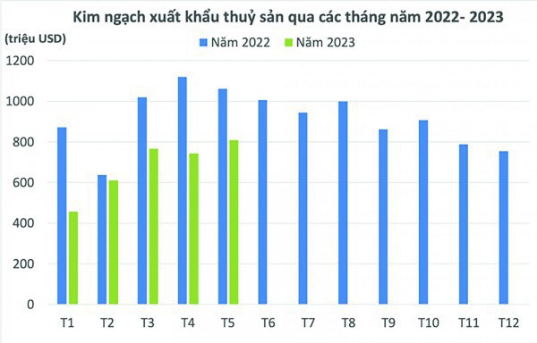 Doanh nghiệp thủy sản “kêu cứu”: Kim ngạch xuất khẩu giảm sâu