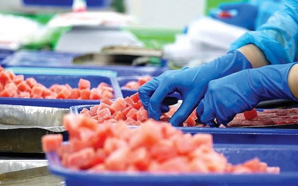 Doanh nghiệp xuất khẩu cá ngừ nâng cao năng lực cạnh tranh Doanh nghiệp xuất khẩu cá ngừ nâng cao năng lực cạnh tranh