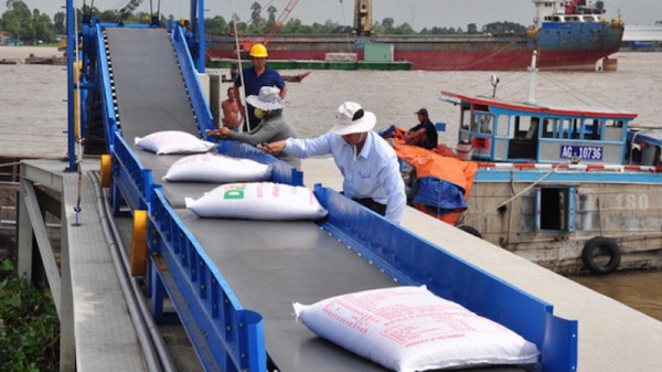 Doanh nghiệp xuất khẩu gạo chờ “luồng xanh”