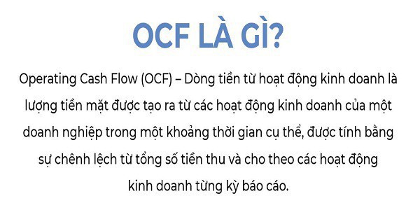 Giải đáp chất lượng lợi nhuận qua phân tích các chỉ số tài chính của Vinamilk