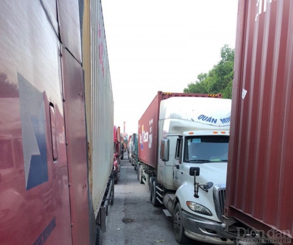 Hải Phòng: Doanh nghiệp vận tải kêu cứu vì ùn tắc hàng hóa tại Đình Vũ