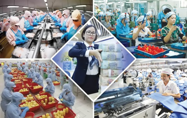 Hỗ trợ doanh nghiệp tư nhân chuyển từ dàn trải sang chọn lọc