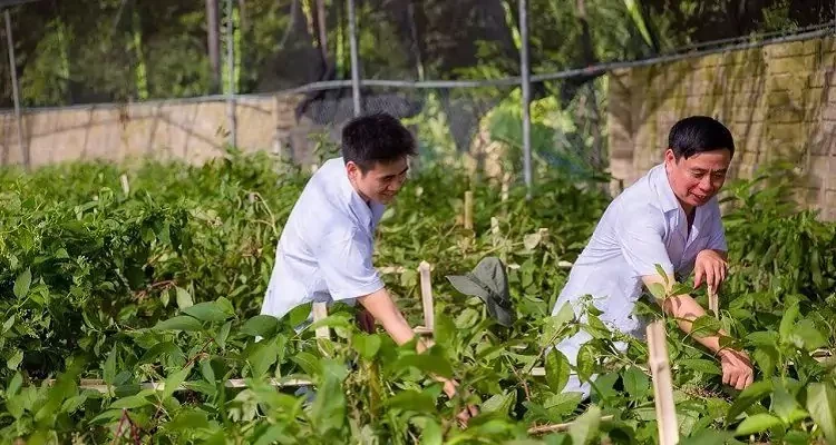 Kết nối cung – cầu công nghệ với doanh nghiệp Kết nối cung – cầu công nghệ với doanh nghiệp