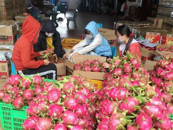 Không minh bạch hóa thông tin, nông sản Việt sẽ bị ‘tuýt còi’
