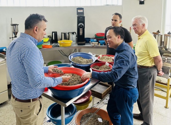 Làm sao để phát triển ngành cà phê Việt?