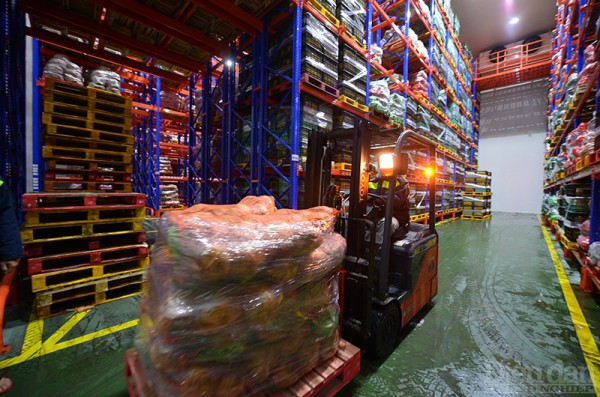 Logistics cho nông sản ĐBSCL: Cần cơ chế ưu đãi cho Trung tâm logistics vùng