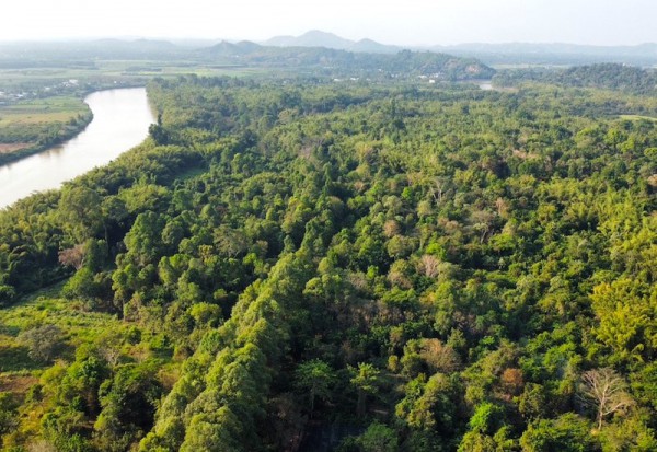 “Mỏ vàng xanh” mới khi thị trường carbon hình thành