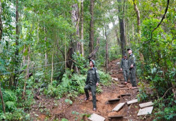 “Mỏ vàng xanh” mới khi thị trường carbon hình thành