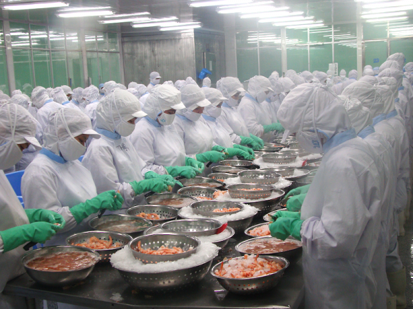 Ngành thủy sản đón “tin vui” lớn về thuế thu nhập doanh nghiệp Ngành thủy sản đón “tin vui” lớn về thuế thu nhập doanh nghiệp