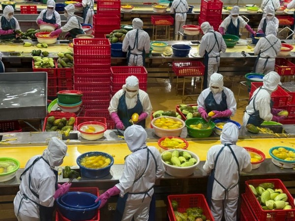 Nghịch lý xuất khẩu nông sản quý I