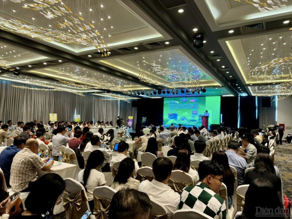 Ninh Thuận: Ưu tiên nhà đầu tư "xanh"