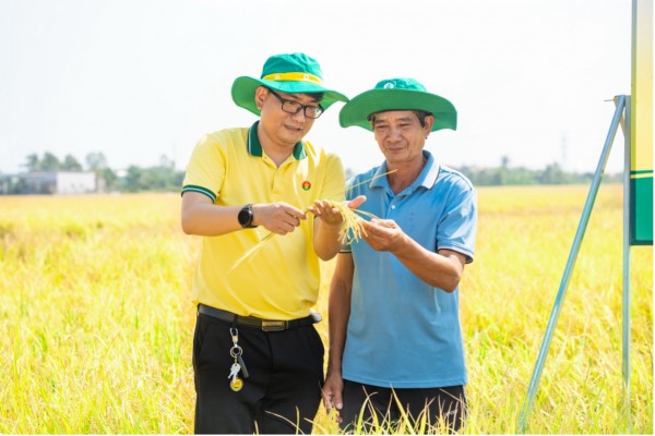 Phân bón Cà Mau kịp thời hỗ trợ nhà nông vượt khó