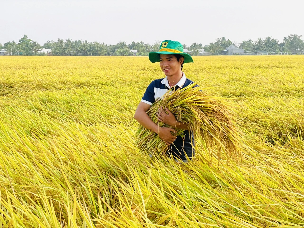 Sầu riêng, cà phê, gạo xuất khẩu thuận lợi giúp phân bón tiêu thụ tăng