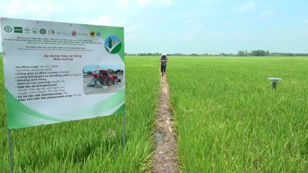 Tài sản vô hình nâng cao giá trị xuất khẩu nông sản Tài sản vô hình nâng cao giá trị xuất khẩu nông sản