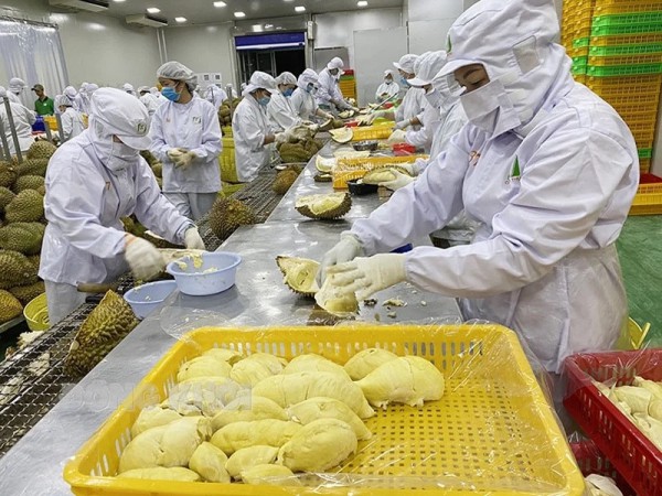 Thị trường Trung Quốc đổi "khẩu vị", doanh nghiệp trái cây tăng tốc nâng giá trị