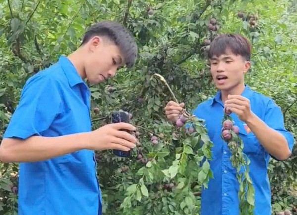 Thương mại điện tử phá bỏ hiệu ứng “tàng hình” trên không gian số Thương mại điện tử phá bỏ hiệu ứng “tàng hình” trên không gian số