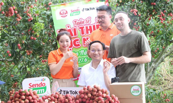 Thương mại điện tử phá bỏ hiệu ứng “tàng hình” trên không gian số Thương mại điện tử phá bỏ hiệu ứng “tàng hình” trên không gian số