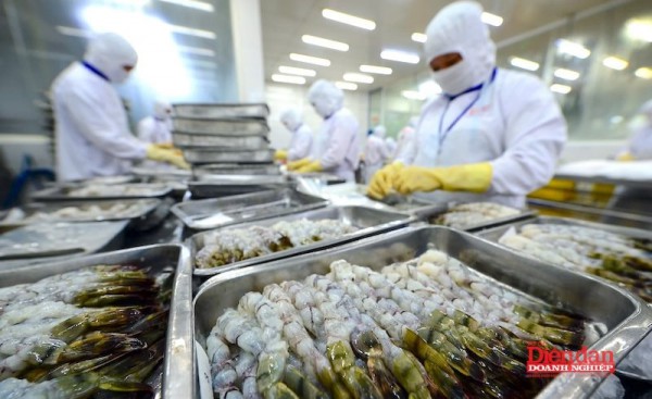 Từ “thẻ vàng” đến “thẻ xanh”: Cơ hội tái định vị ngành thủy sản