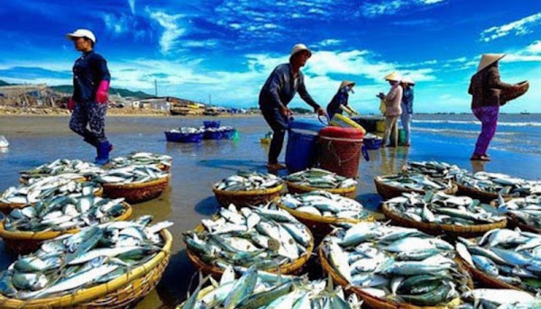 Việt Nam đề nghị Mỹ xem xét lại quyết định về 12 nghề khai thác hải sản Việt Nam đề nghị Mỹ xem xét lại quyết định về 12 nghề khai thác hải sản