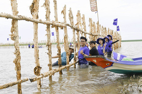 Vinamilk triển khai dự án tái sinh 25 hecta rừng ngập mặn tại Cà Mau