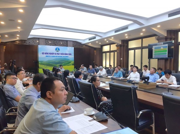 Xuất khẩu gạo: "Thời cơ không đợi chúng ta"