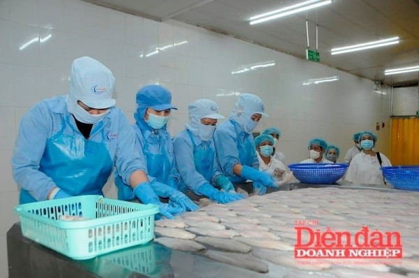 Xuất khẩu thủy sản 2026: Cơ hội và áp lực trong chặng nước rút Xuất khẩu thủy sản 2026: Cơ hội và áp lực trong chặng nước rút