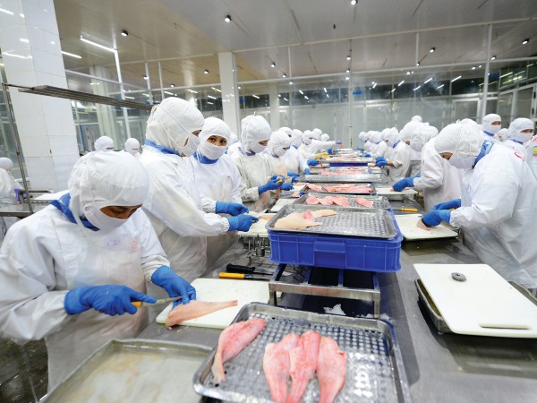 Xuất khẩu thuỷ sản tận dụng cơ hội trong “bão” thuế quan