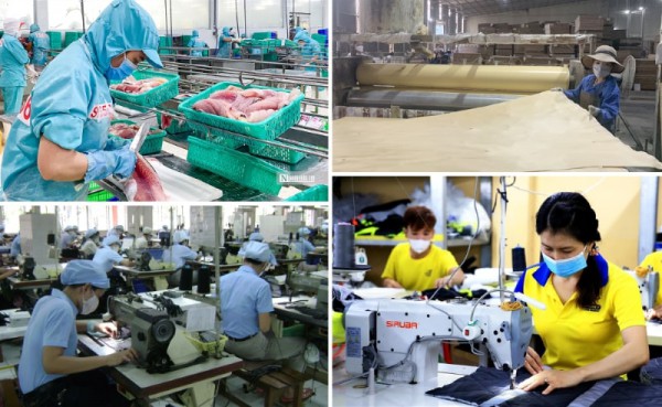 Đảm bảo công bằng tiếp cận nguồn lực cho kinh tế tư nhân